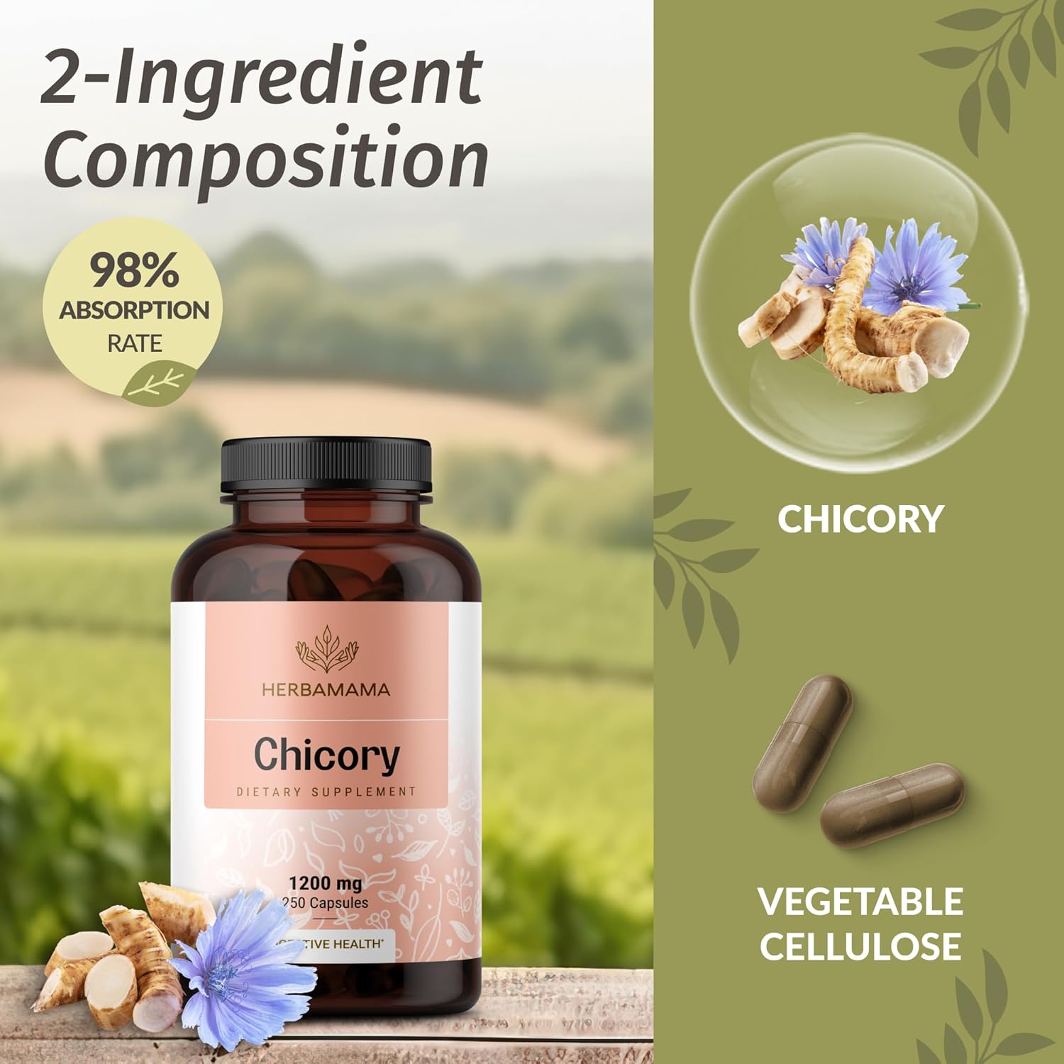 Chicory and Dandelion Supplement Kit - 1200mg Capsules & 4 fl oz Tincture Bundle - Vegan, Non-GMO, Sugar & Alcohol-Free - 2 Pack