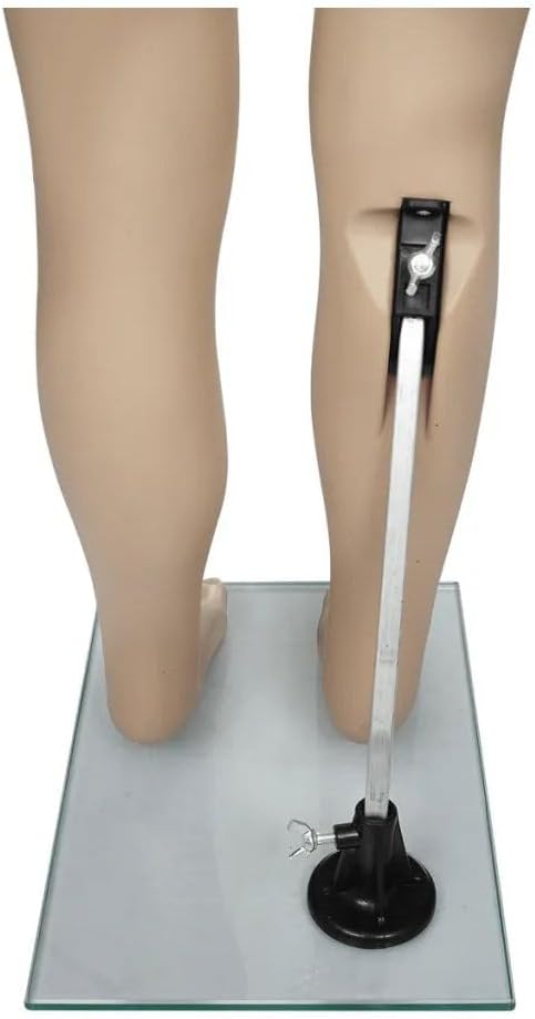 Child Mannequin with 21.7" Bust, 24" Hips, 20.1" Waist, 43.3" Height - Beige Color, Fitment Verified