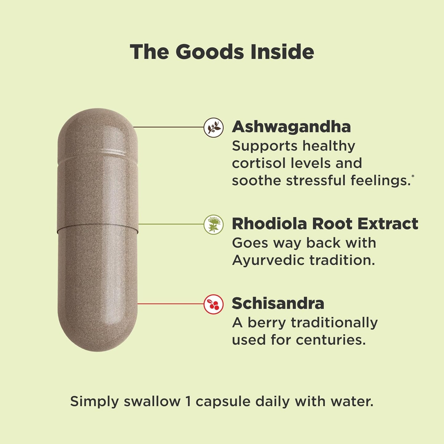 Chill Adaptogen & Ashwagandha Mood Support Supplement with Rhodiola Root - 30 Vegetarian Capsules