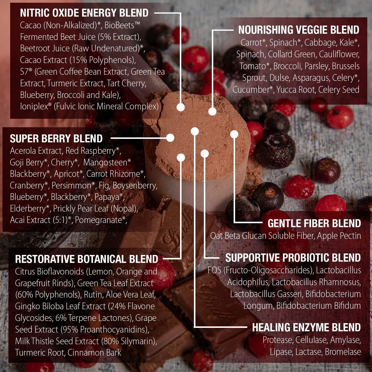 ChocoBerry Blast Superfood Powder - Adaptogenic SuperBerry Smoothie Booster with Beet Juice, Mushrooms, & Polyphenols - Enhances Recovery, Energy, Gut Health, Immunity & Nutrition - Chocolate (480g)