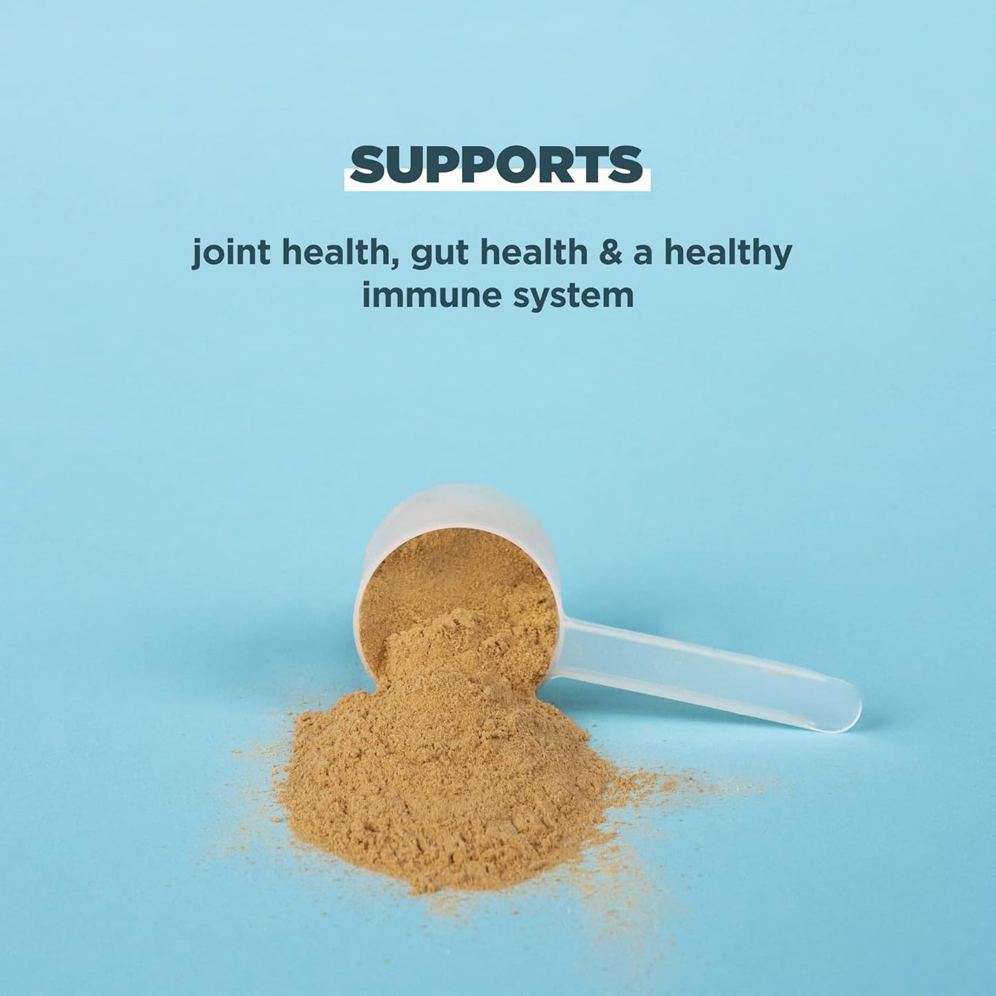 Chocolate Bone Broth Protein Powder - 20g Protein, 20 Servings, Gluten Free, Hydrolyzed Collagen Peptides, Ideal for Protein Shakes