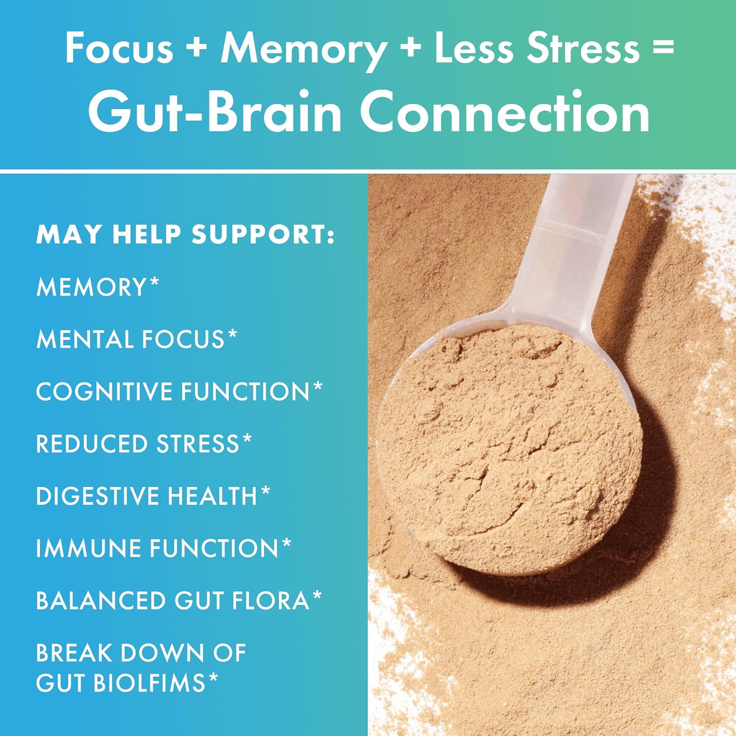 Chocolate Dream BIOHM Gut-Brain Support Supplement, 30 Servings for Focus, Memory, and Stress