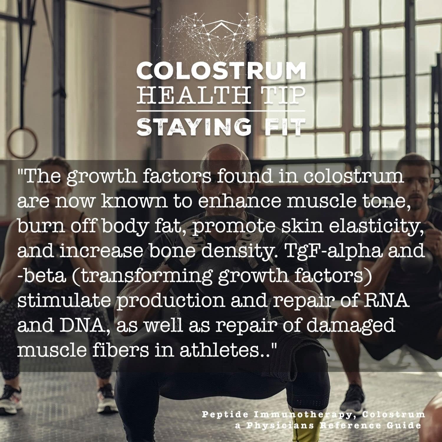 Chocolate Flavored Colostrum Powder - 16oz for Immune Support & Gut Health, Keto-Friendly Dietary Supplement