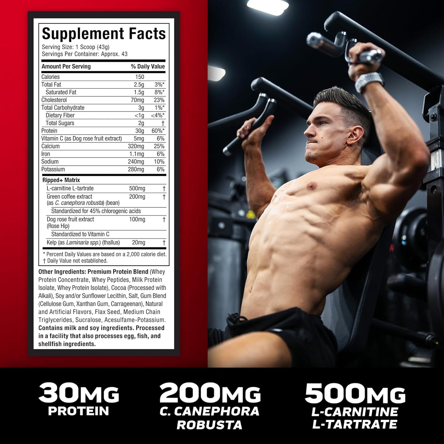 Chocolate Fudge Brownie Muscletech Whey Protein Powder - 4LB Nitro-Tech Ripped Smoothie Mix for Lean Muscle & Fast Recovery - 30g Whey Protein for Women & Men