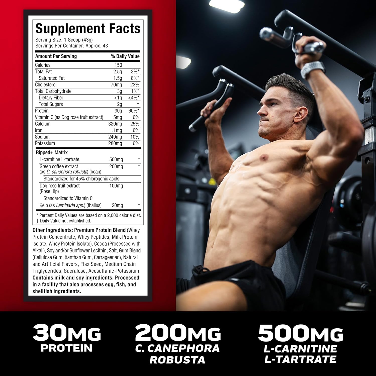 Chocolate Fudge Brownie Muscletech Whey Protein Powder - 4LB Nitro-Tech Ripped Smoothie Mix for Lean Muscle & Fast Recovery - 30g Whey Protein for Women & Men