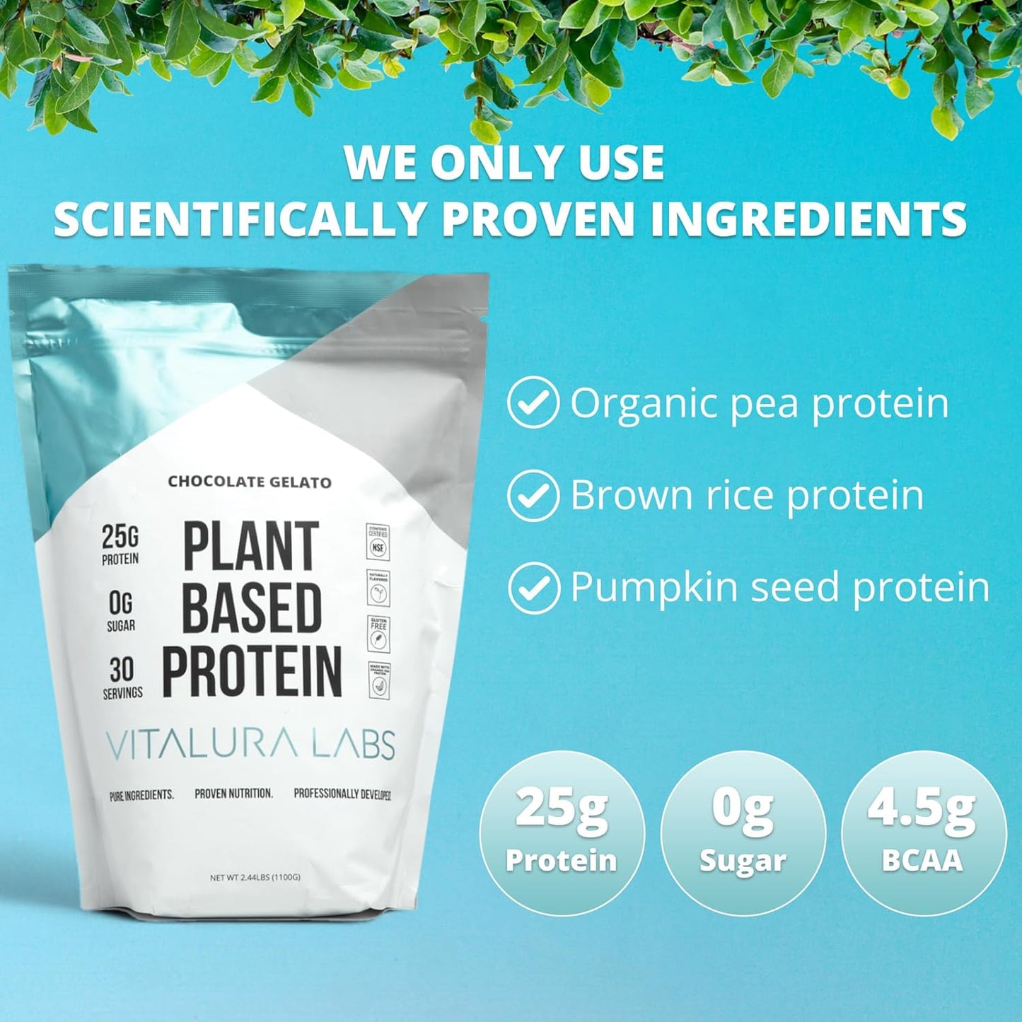 Chocolate Gelato Flavored Plant-Based Protein Powder with 25g of Protein Per Serving - NSF Certified - 30 Servings