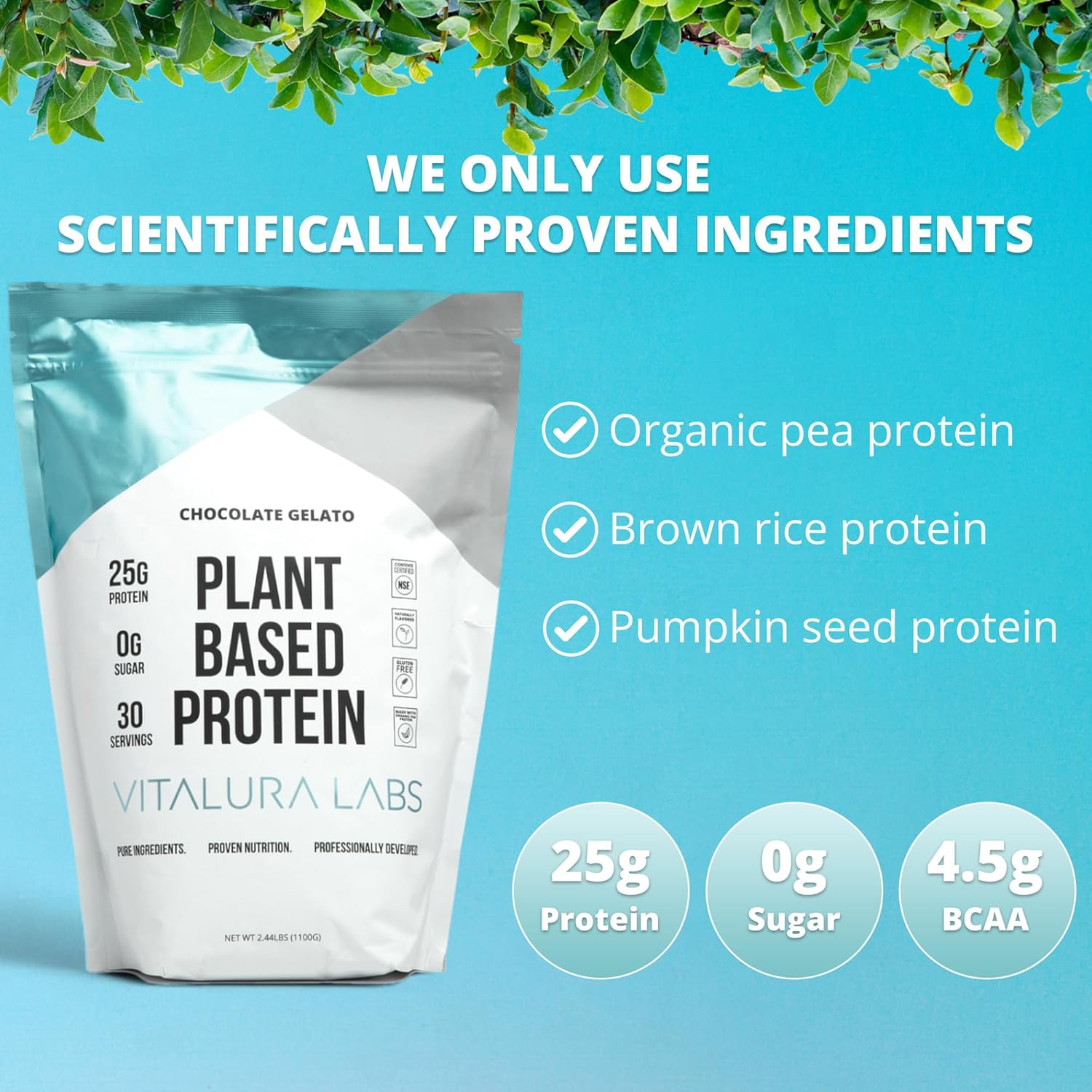 Chocolate Gelato Flavored Plant-Based Protein Powder with 25g of Protein Per Serving - NSF Certified - 30 Servings