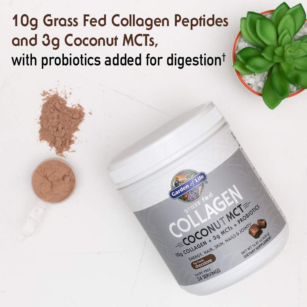 Chocolate Grass Fed Collagen Coconut MCT Powder - 24 Servings for Energy Hair Skin Nails Joints - Probiotics & Collagen Protein Supplement