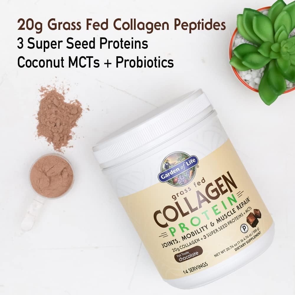 Chocolate Grass-Fed Collagen Protein Powder with Super Seeds and MCTs - 14 Servings for Joints, Mobility, and Muscle Repair - Keto Supplements by Garden of Life