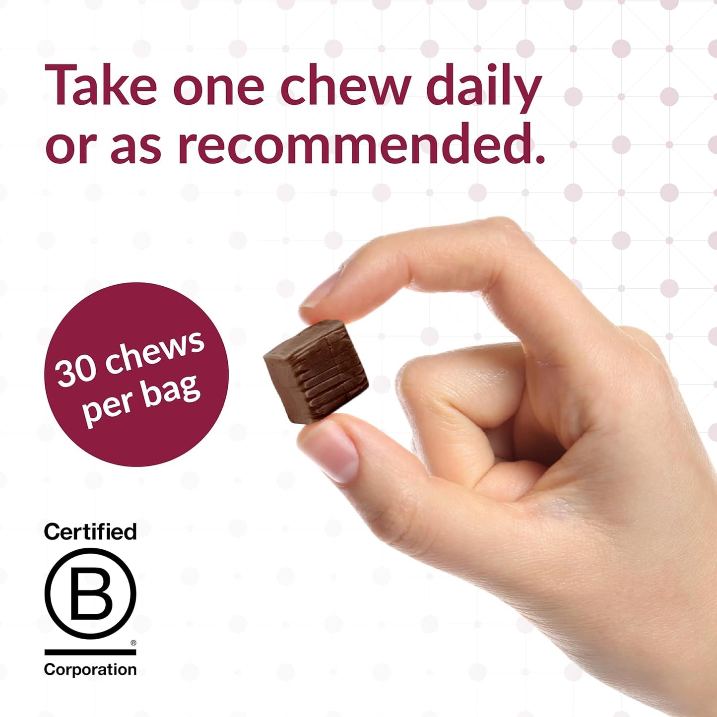 Chocolate Raspberry Truffle Iron Chewy Bites - 30 Count with 30mg Iron and 60mg Vitamin C