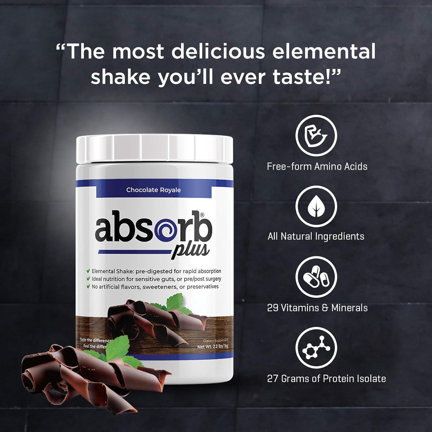Chocolate Royale Absorb Plus Isolate Protein - Non-GMO, Gluten-Free, Lactose-Free Diet Supplement for Gut Health & Nutritional Support (2.2 Lbs)