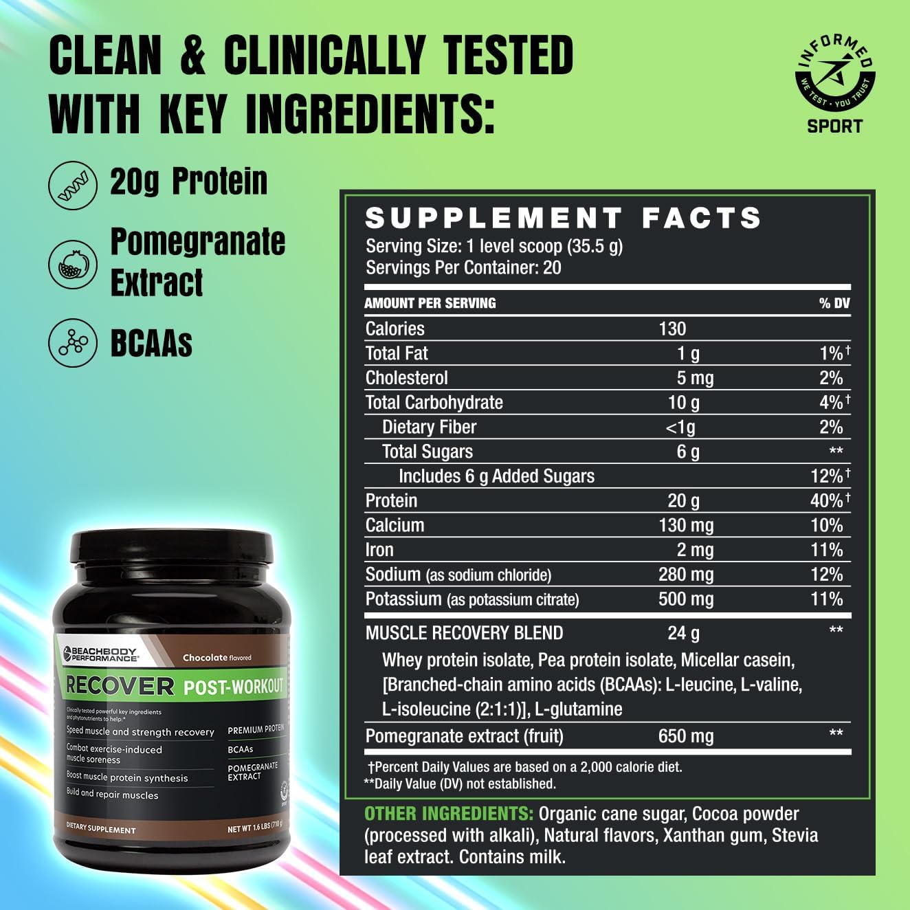 Chocolate Whey Protein Blend for Muscle Recovery - Post-Workout Supplement with 20g Protein, BCAAs, and Pomegranate Extract - 18 Servings