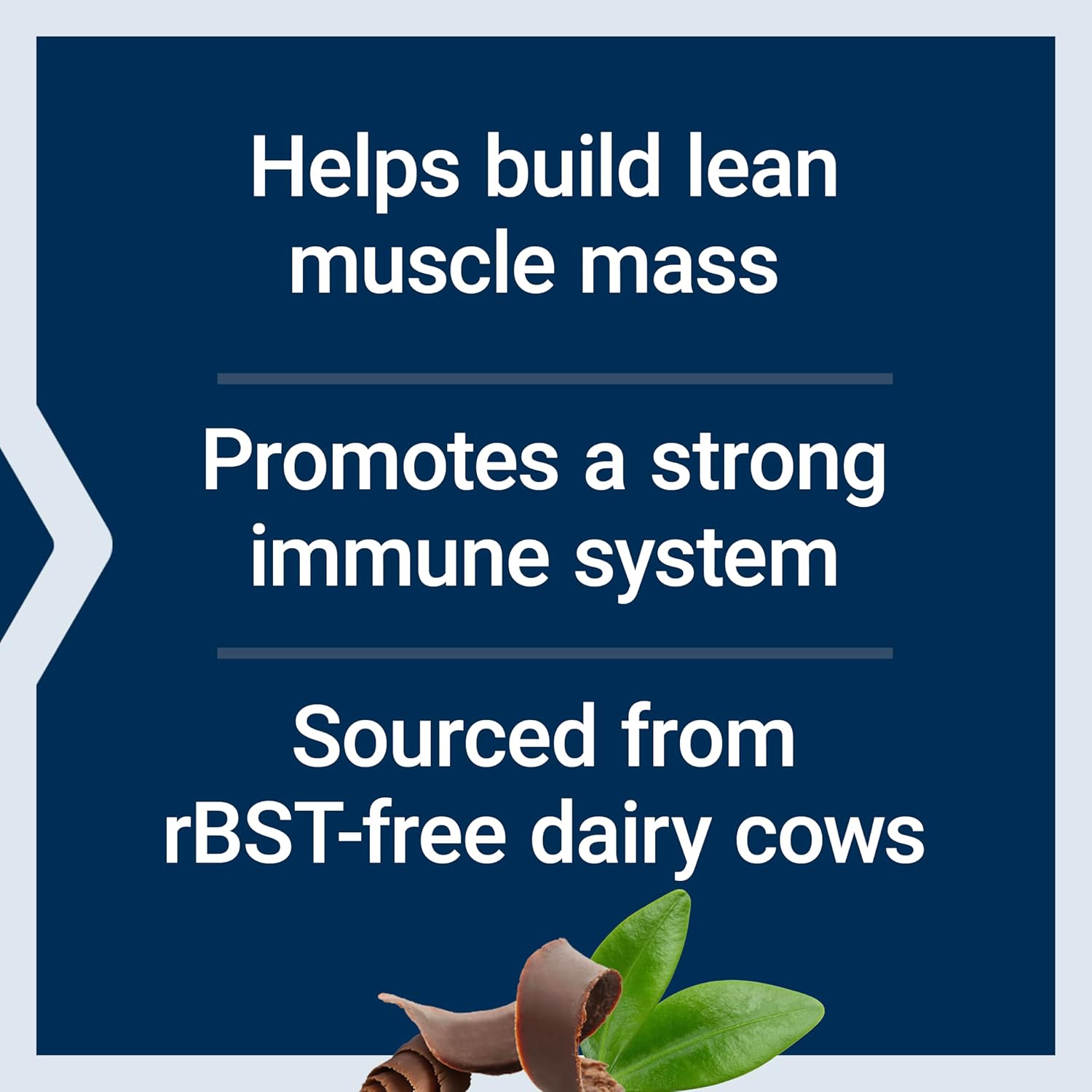 Chocolate Whey Protein Isolate: Boost Muscle Growth & Immune Health, No Sugar, Gluten Free, Non-GMO - 437g, 20 Servings