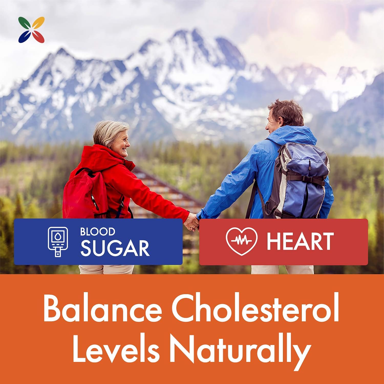 Cholesterol360 Formula with Antioxidants for Heart Health - 30 Vcaps