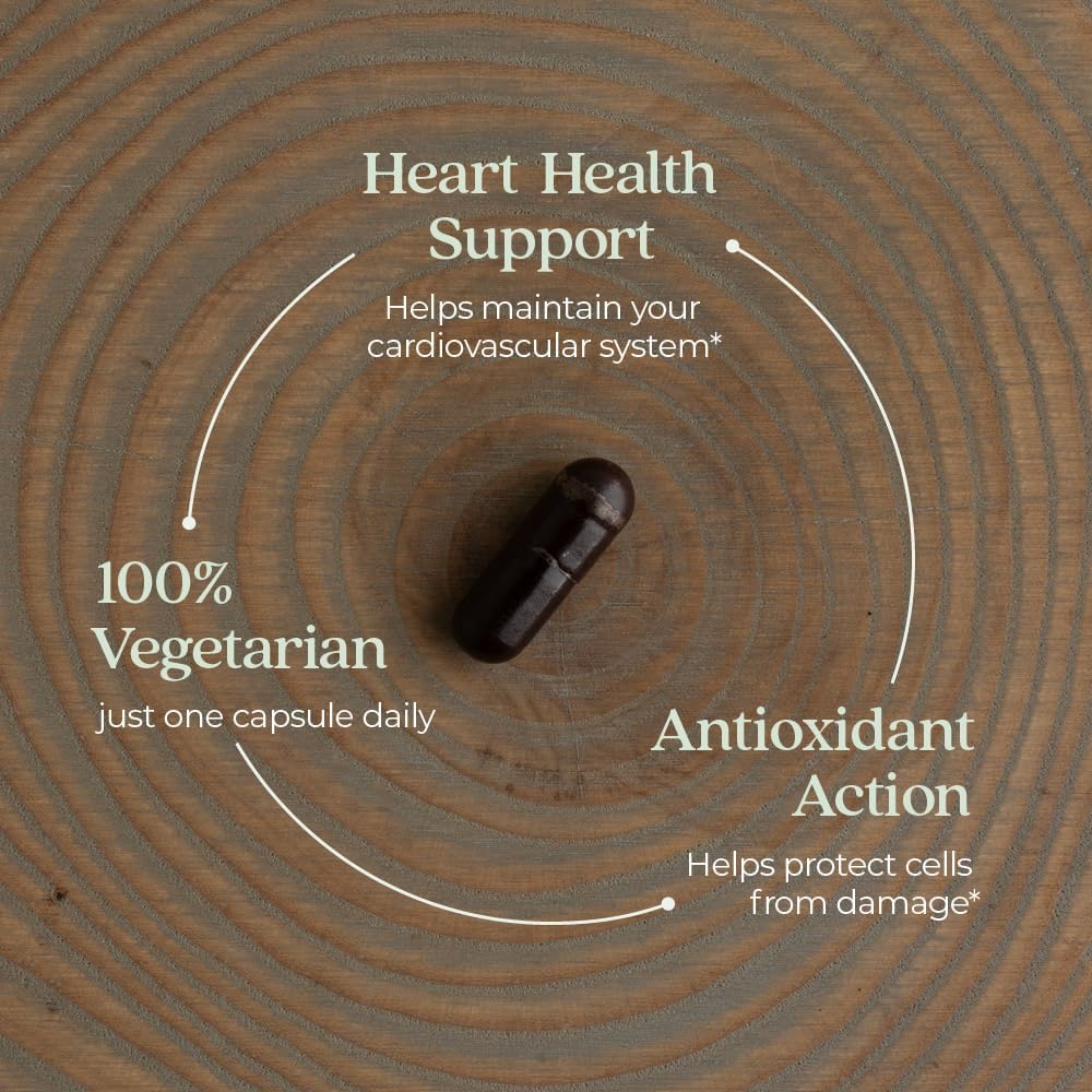 Cinnamon Force Antioxidant Supplement with Non-GMO Ingredients - 30 ct Vegetarian Capsules by New Chapter