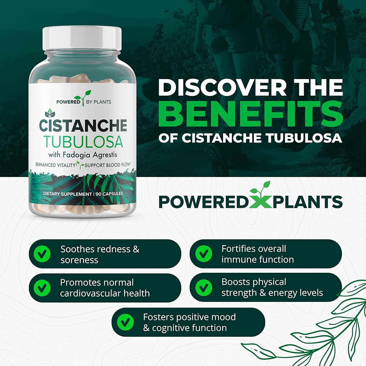Cistanche Tubulosa & Fadogia Agrestis Blend with Bioperine - Boosts Vitality - Natural Supplements for Men & Women by Powered X Plants, 90 Servings