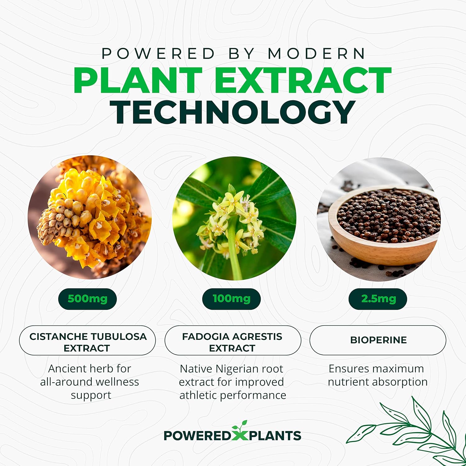 Cistanche Tubulosa & Fadogia Agrestis Blend with Bioperine - Boosts Vitality - Natural Supplements for Men & Women by Powered X Plants, 90 Servings