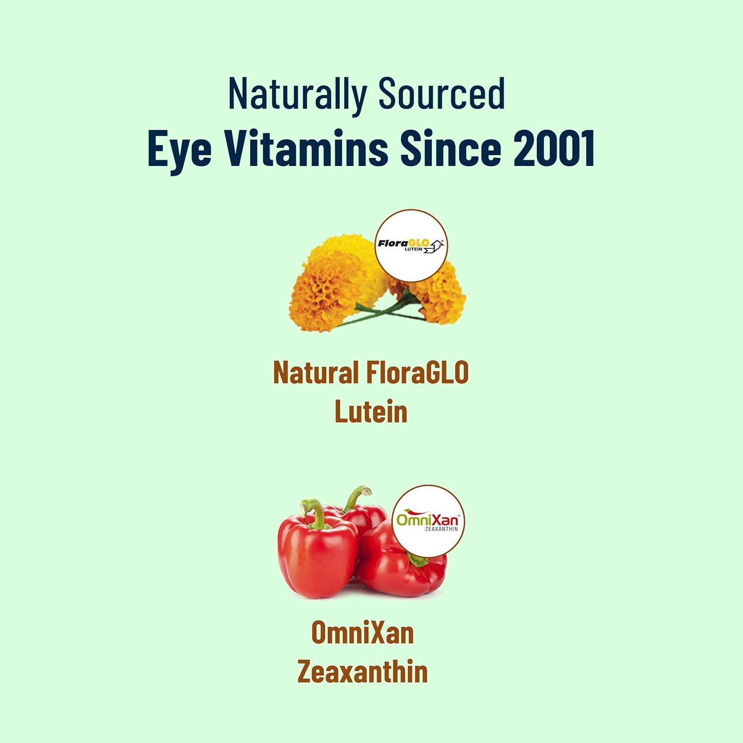 Clear Eye Vision Vitamins - VisiVite Super Lutein 444 Eye Formula - Lutein & Zeaxanthin Eye Supplements for Adults - Max Vision Support
