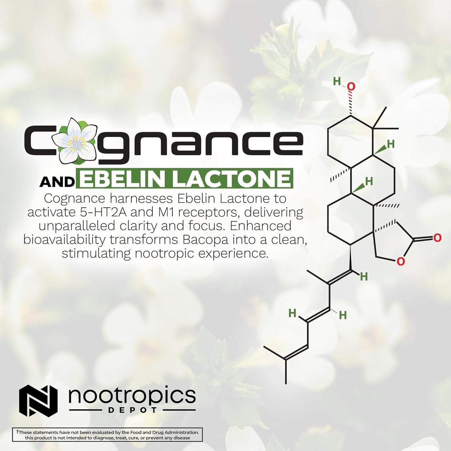 Cognance Enhanced Bacopa Capsules | 100mg | Bacopa Monnieri | Mood & Memory Support | 180 Capsules