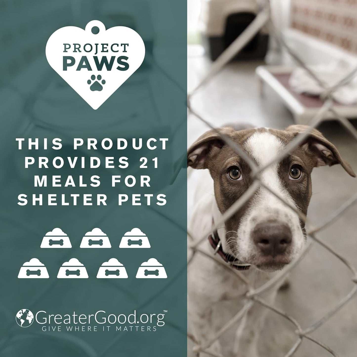 Cognitive Dog Supplement with Liver Support & Vitamin B for Dogs - S Adenosyl Methionine - 60 ct.