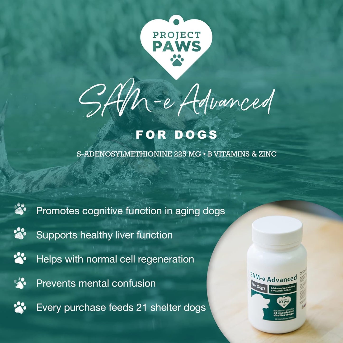 Cognitive Dog Supplement with Liver Support & Vitamin B for Dogs - S Adenosyl Methionine - 60 ct.