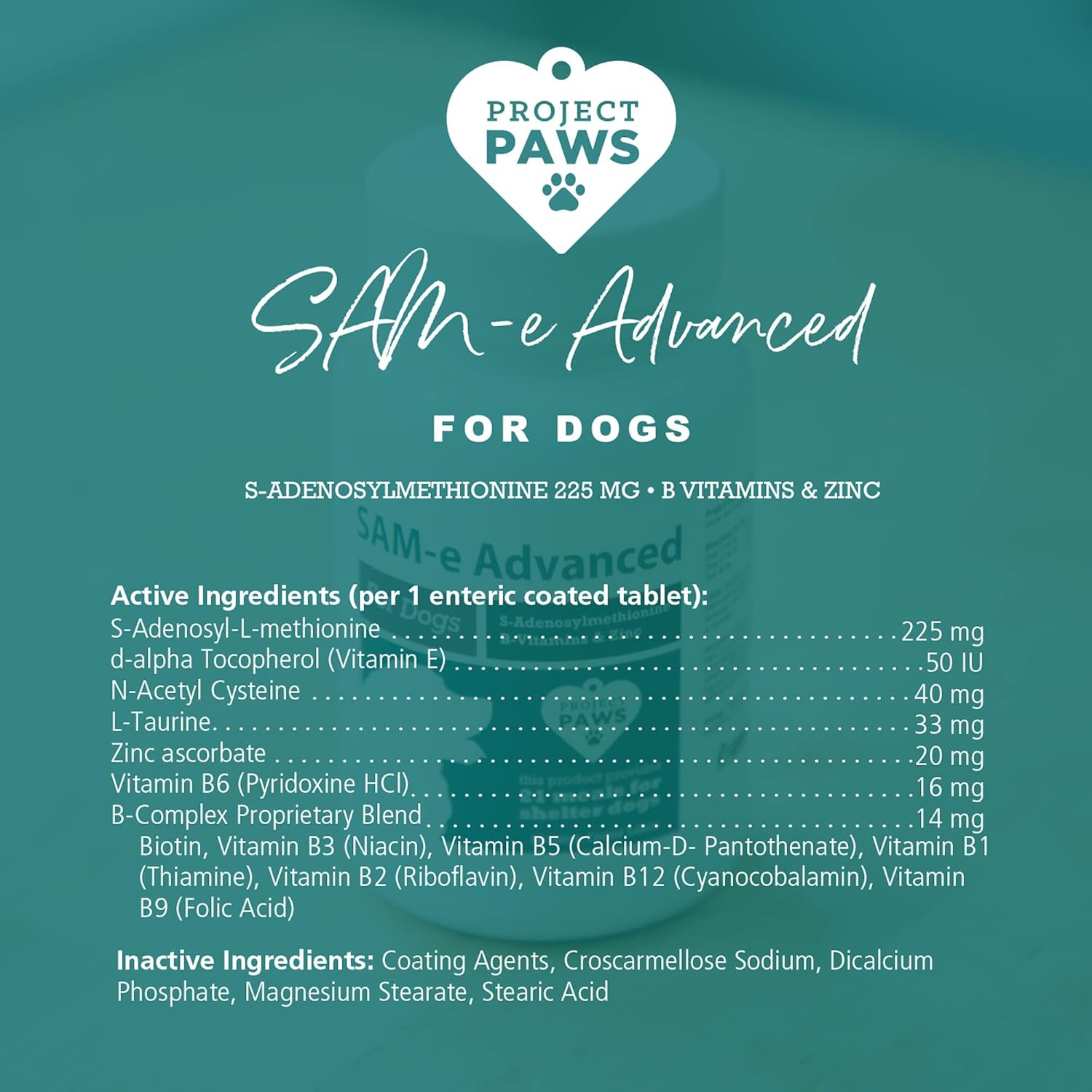 Cognitive Dog Supplement with Liver Support & Vitamin B for Dogs - S Adenosyl Methionine - 60 ct.