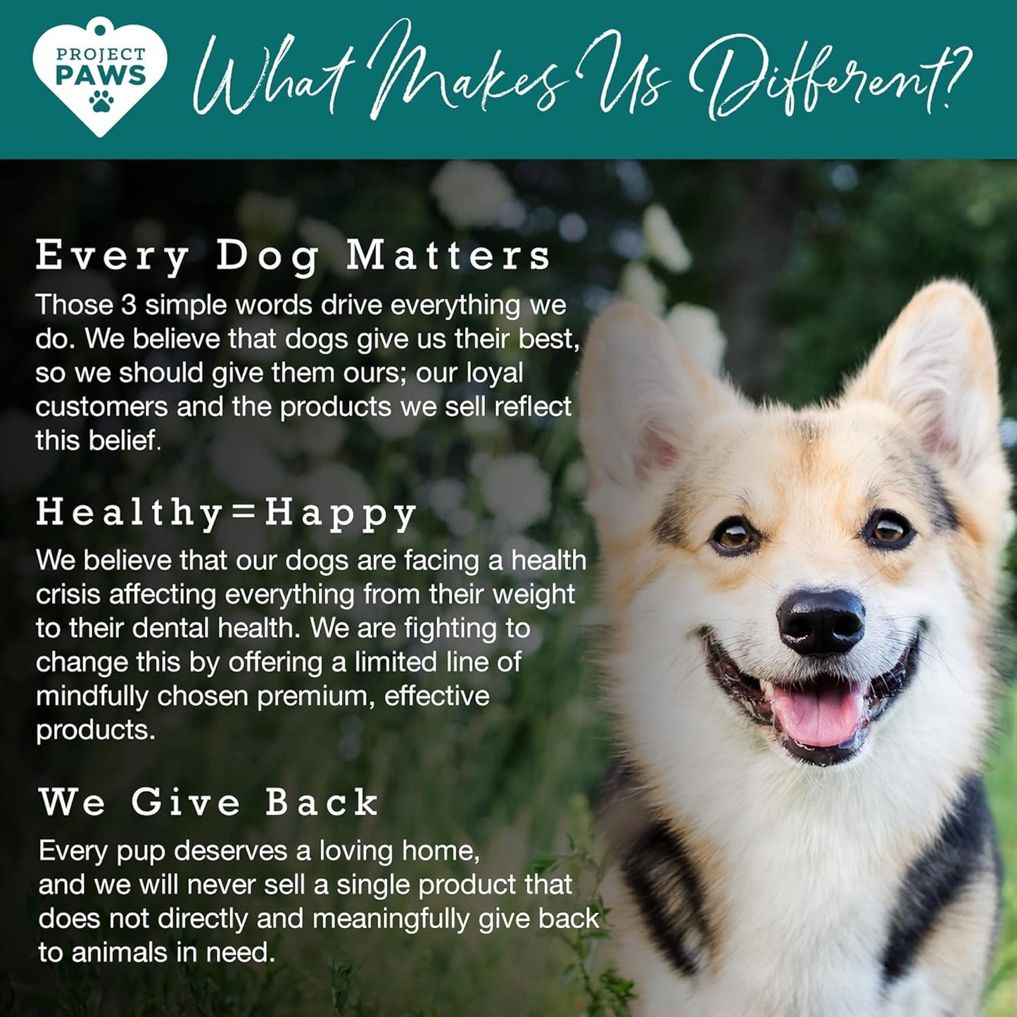 Cognitive Dog Supplement with Liver Support & Vitamin B for Dogs - S Adenosyl Methionine - 60 ct.