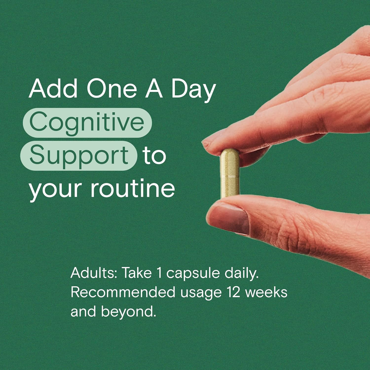 Cognitive Performance Support Supplement with Bacopa, Rhodiola & Holy Basil for Men and Women - 30 Capsules