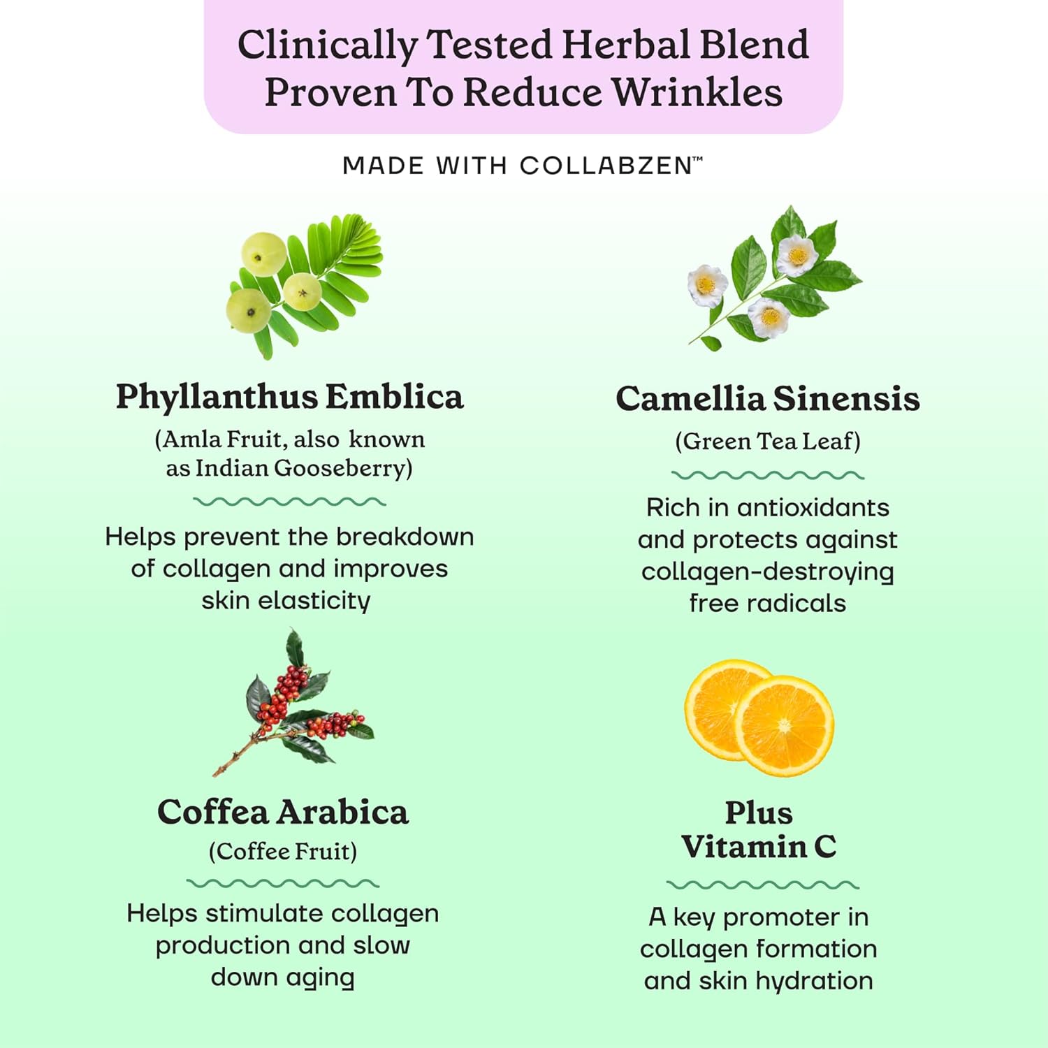 CollaVen Vegan Collagen Builder with Vitamin C for Youthful Skin - 60 Vegan Capsules, Boosts Production & Reduces Wrinkles
