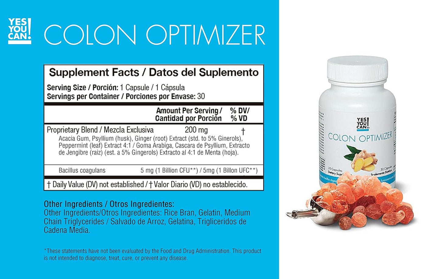 Complete Meal Replacement Kit - Meal Replacement Shake Powder & Natural Supplements, Nutritional Chocolate Meals (60 Servings)