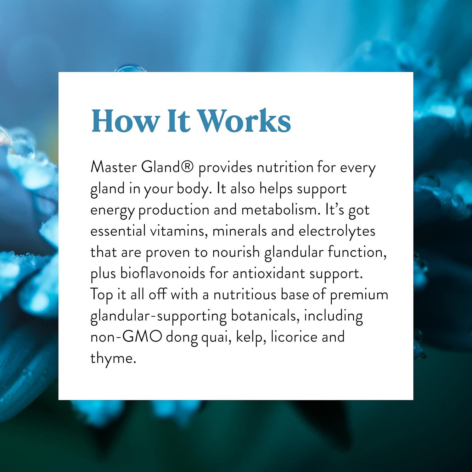 Complete Nutritional Support for Body Glands - Nature's Sunshine Master Gland 120 Capsules