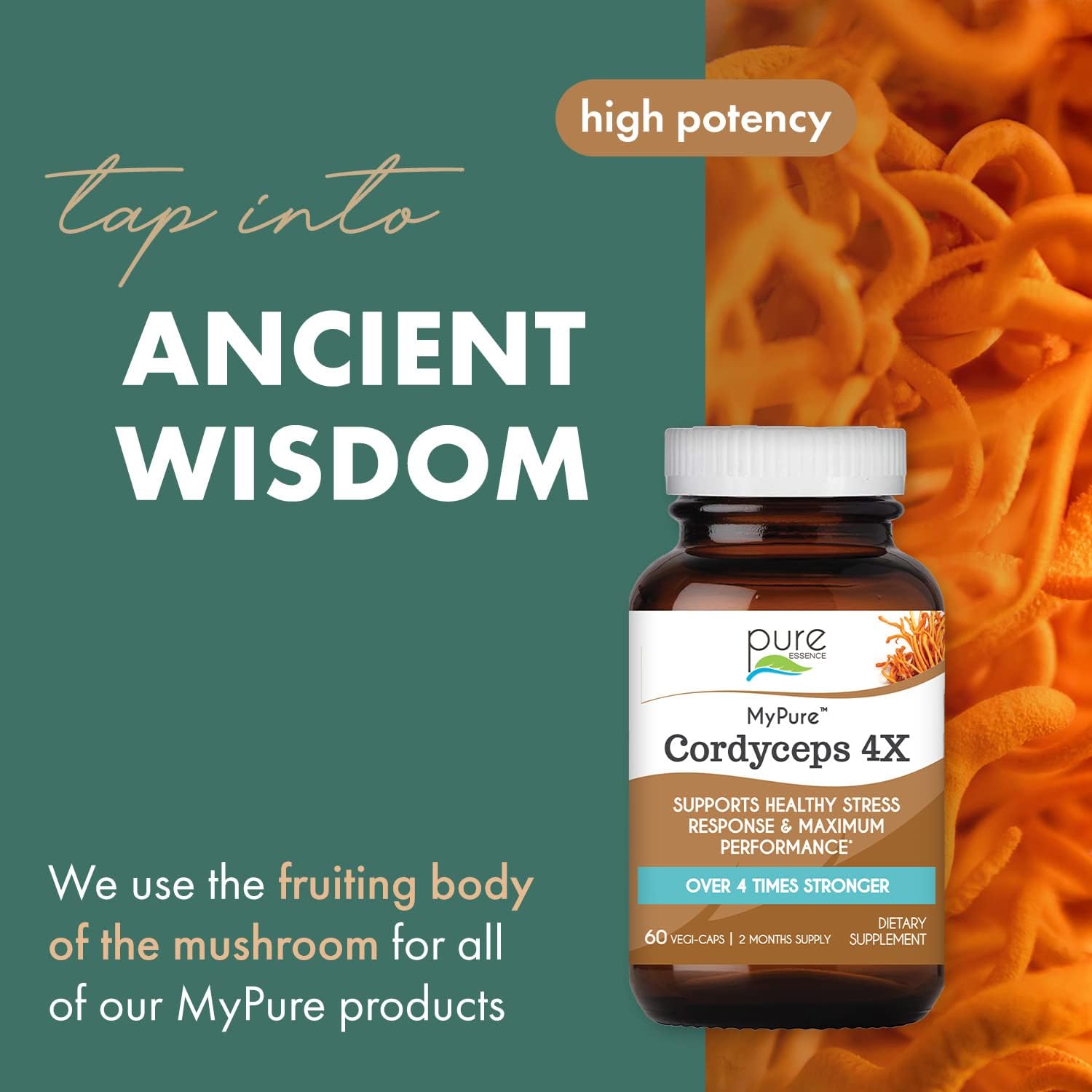 Concentrated Cordyceps Mushroom Powder Supplements for Immune System, Stress Response, Physical & Mental Performance - 2 Months Supply by PURE ESSENCE LABS