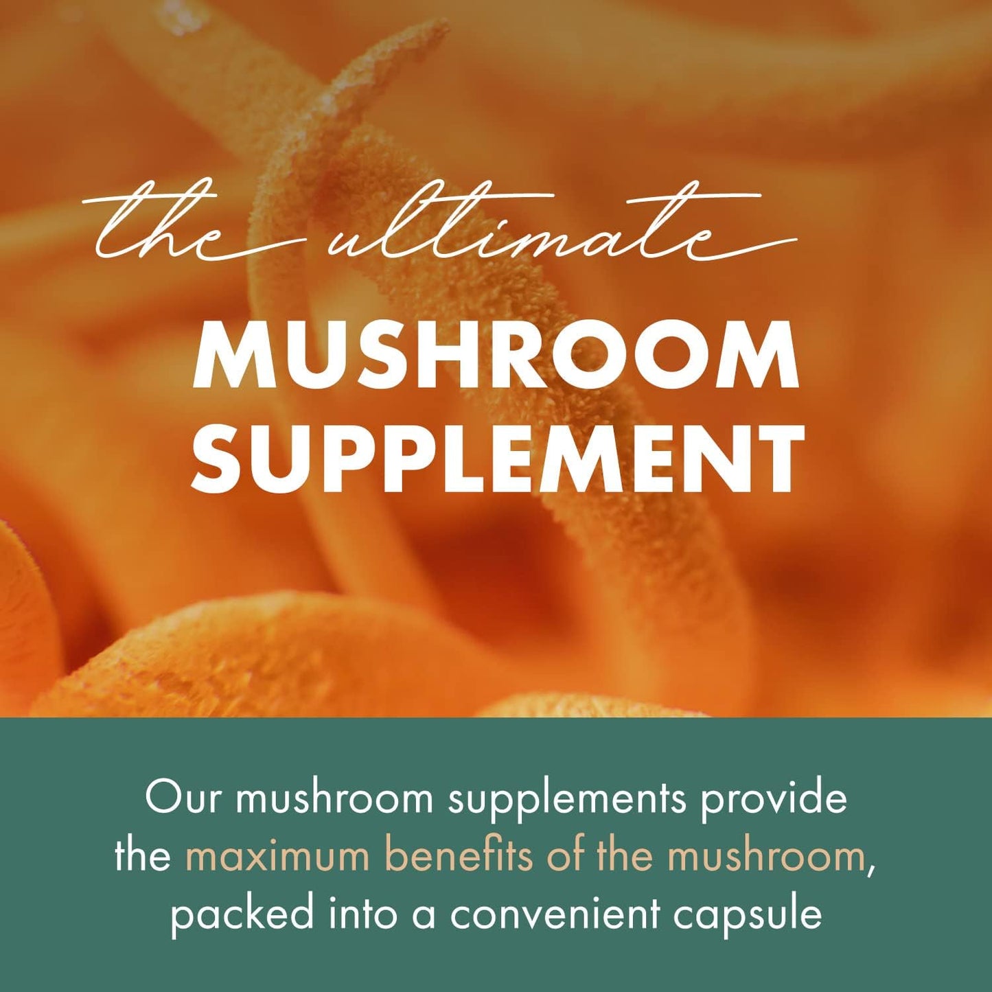 Concentrated Cordyceps Mushroom Powder Supplements for Immune System, Stress Response, Physical & Mental Performance - 2 Months Supply by PURE ESSENCE LABS