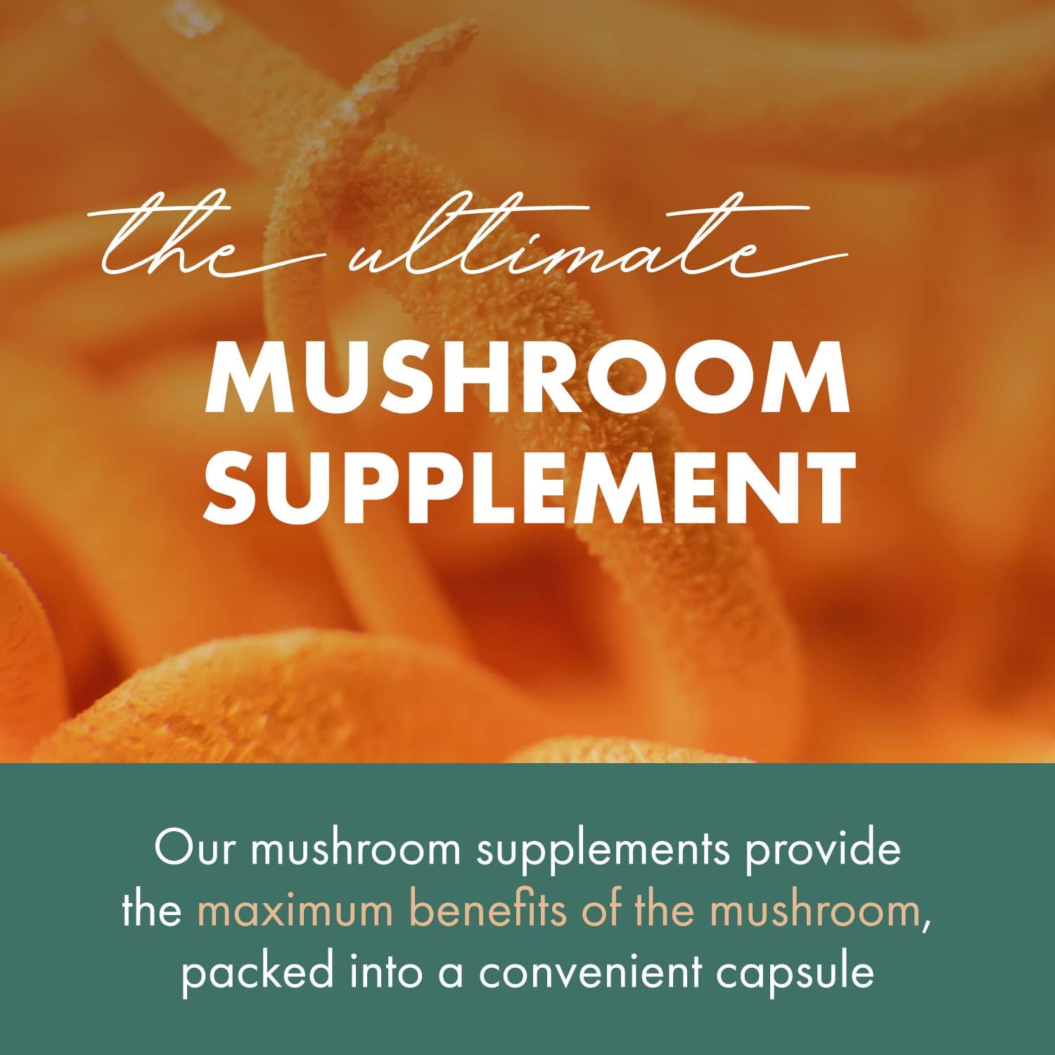 Concentrated Cordyceps Mushroom Powder Supplements for Immune System, Stress Response, Physical & Mental Performance - 2 Months Supply by PURE ESSENCE LABS