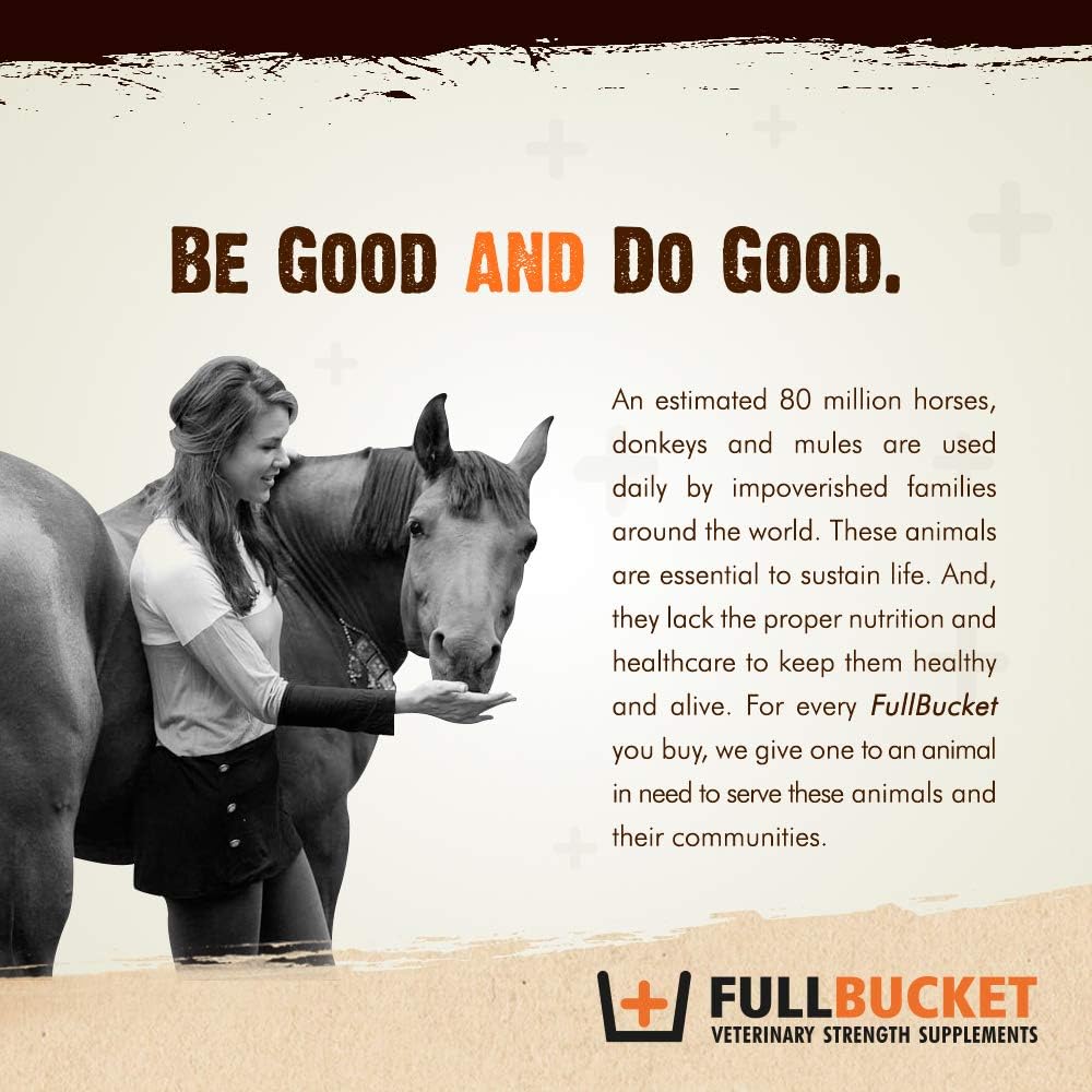 Concentrated Equine Probiotic Granules with Saccharomyces boulardii - 30 Servings, 25 Billion CFUs