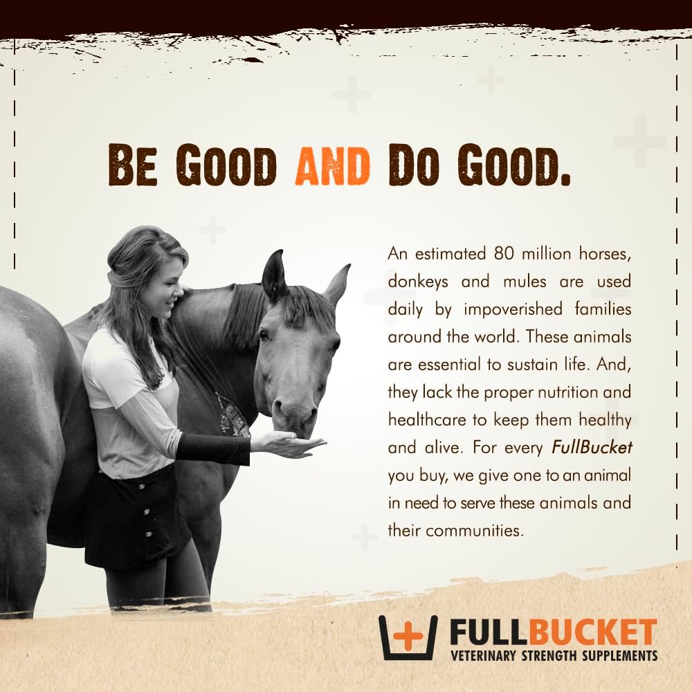 Concentrated Equine Probiotic Pellets with Saccharomyces boulardii - 50 Billion CFUs - 150 Servings for Stressed or Digestive Issue Horses