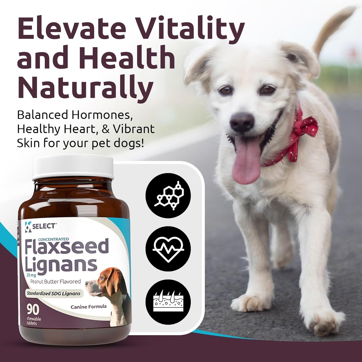 Concentrated Flaxseed Lignans for Dogs - 20mg, 90 Chewable Tablets, Peanut Butter Flavor - Promotes Healthy Coat