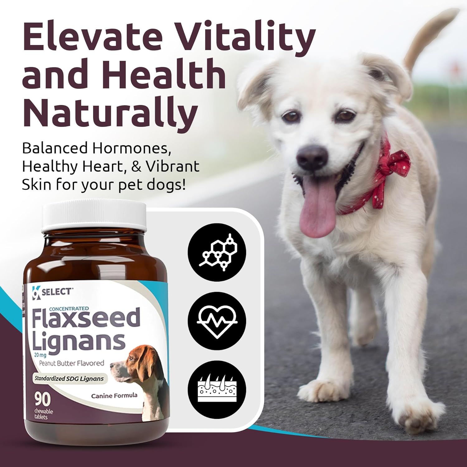 Concentrated Flaxseed Lignans for Dogs - 20mg, 90 Chewable Tablets, Peanut Butter Flavor - Promotes Healthy Coat