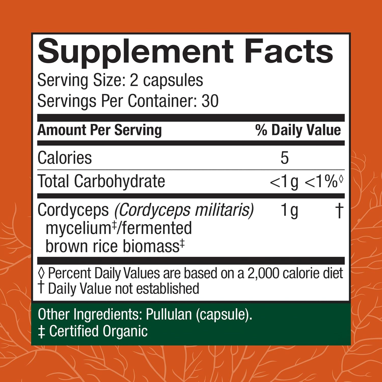Cordyceps Capsules for Immune, Energy, and Kidney Health Support - Fitness Supplement for Oxygen Uptake - 60 Capsules