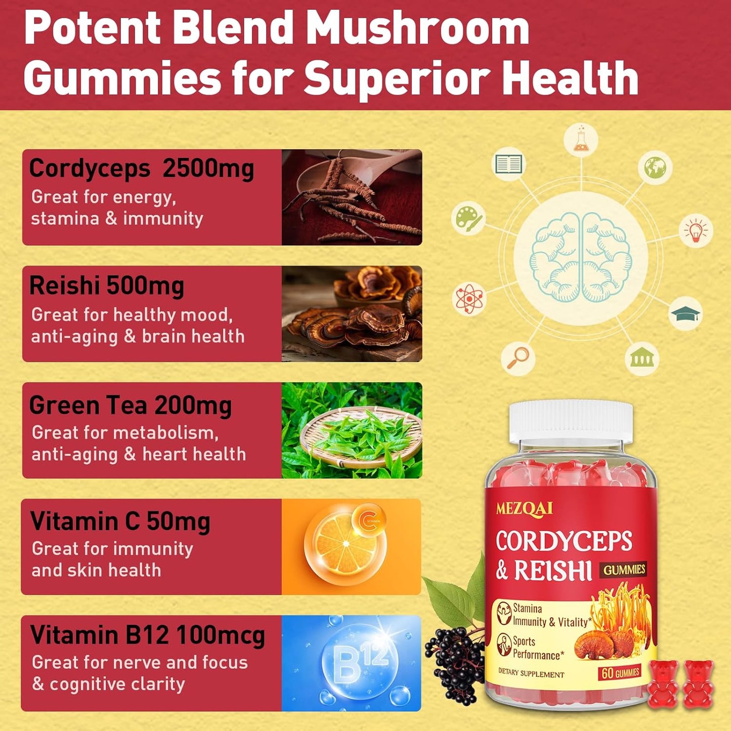 Cordyceps Reishi Mushroom Energy Gummies for Adults - 660 Count, with Cortisol & Brain Supplements for Memory, Focus, Rest, & Athletic Performance - Men & Women
