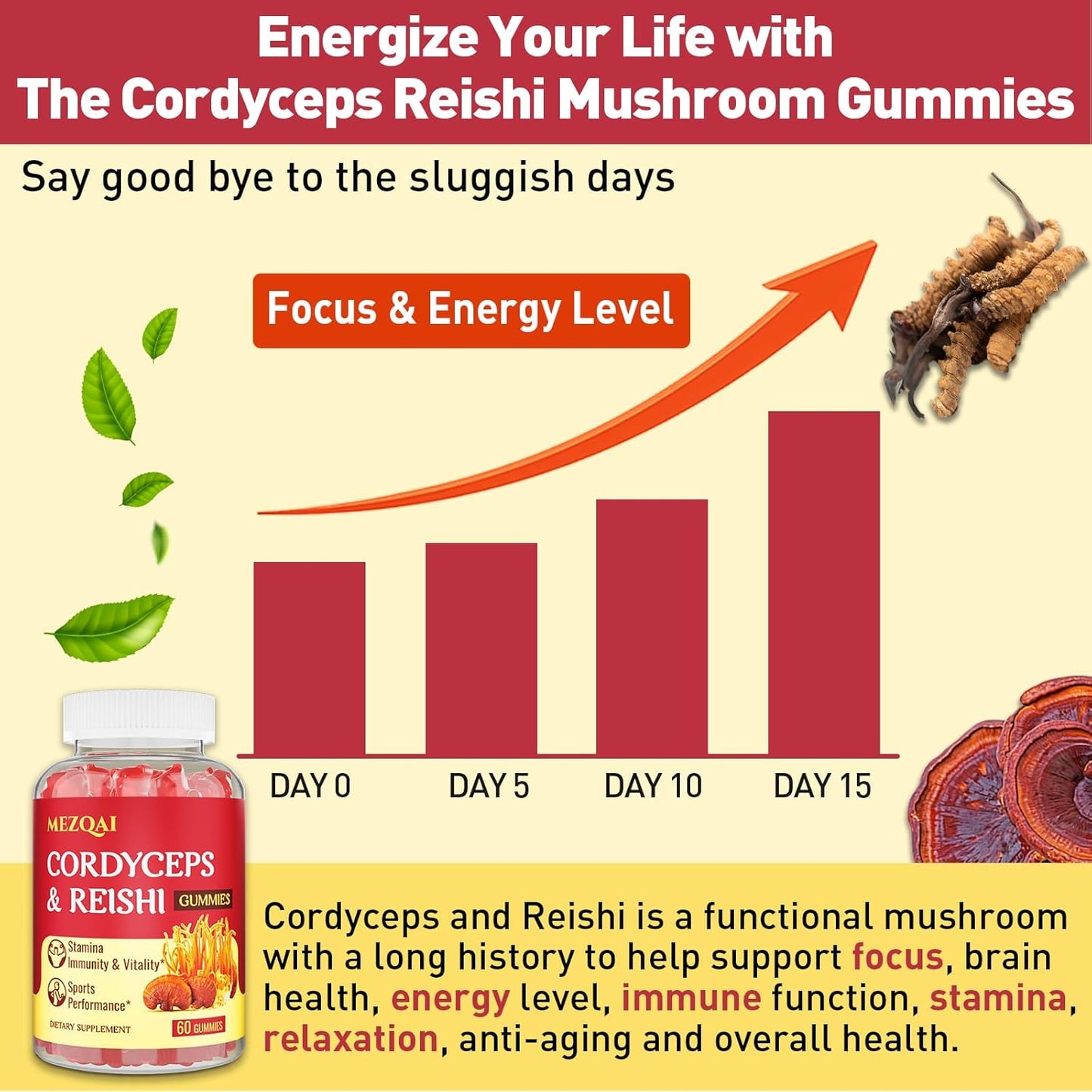 Cordyceps Reishi Mushroom Energy Gummies for Adults - 660 Count, with Cortisol & Brain Supplements for Memory, Focus, Rest, & Athletic Performance - Men & Women