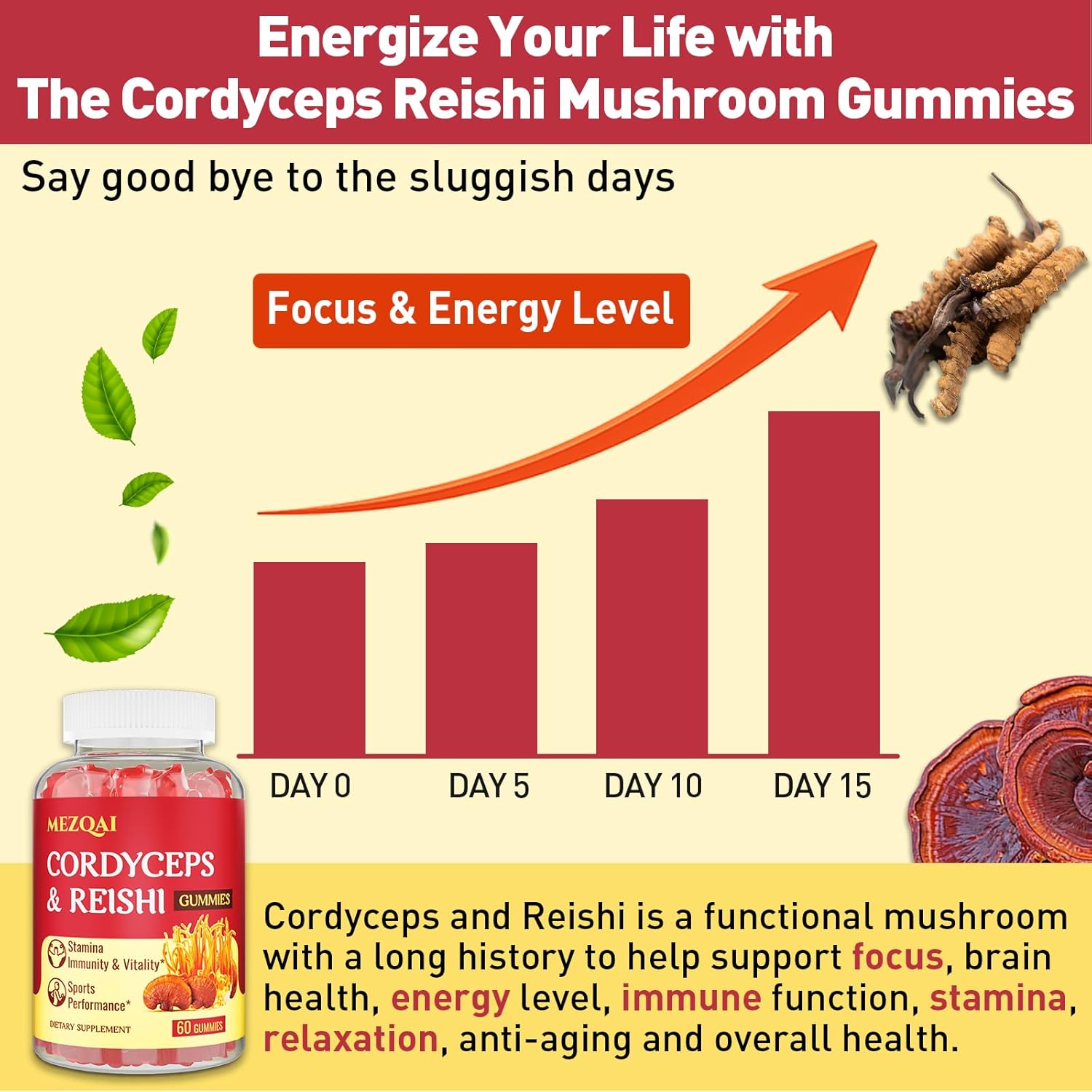Cordyceps Reishi Mushroom Energy Gummies for Adults - 660 Count, with Cortisol & Brain Supplements for Memory, Focus, Rest, & Athletic Performance - Men & Women