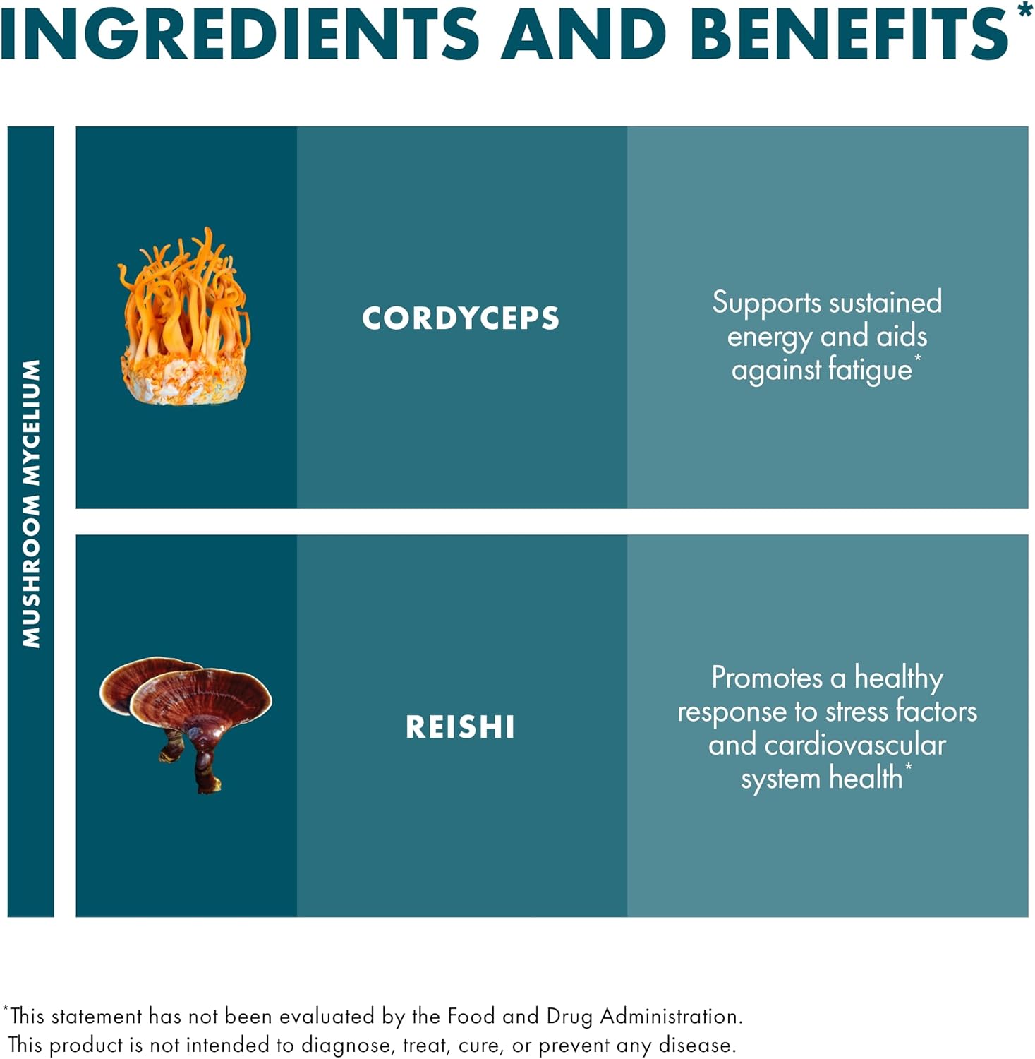 CordyChi Extract for Energy and Immune Support - Cordyceps & Reishi Mushroom Supplement - Respiratory and Relaxation Aid - 1 fl oz