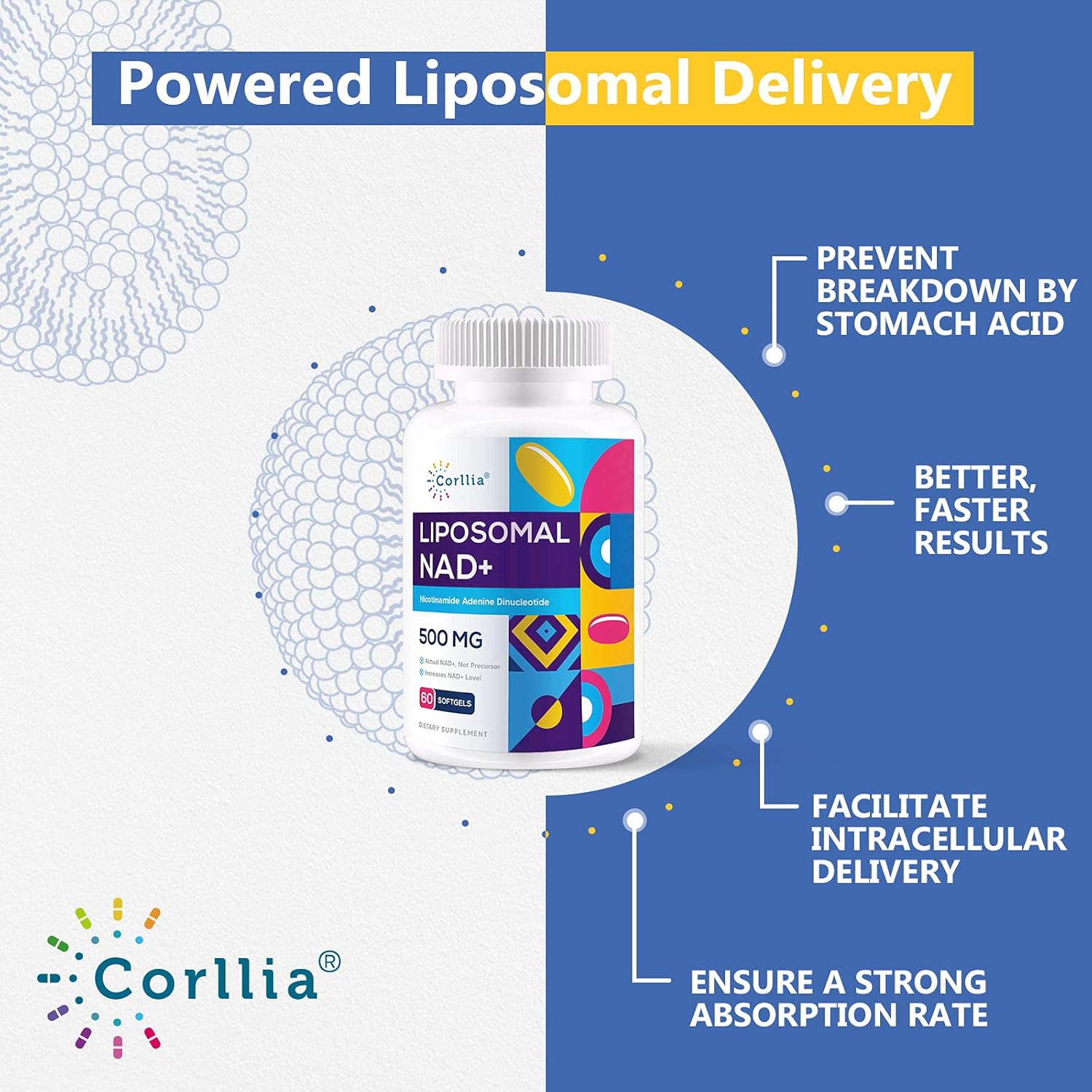 Corllia Liposomal NAD+ 500mg Softgels with TMG 250mg, Nicotinamide Riboside Substitute, Genuine NAD+ Supplement, 120 Servings