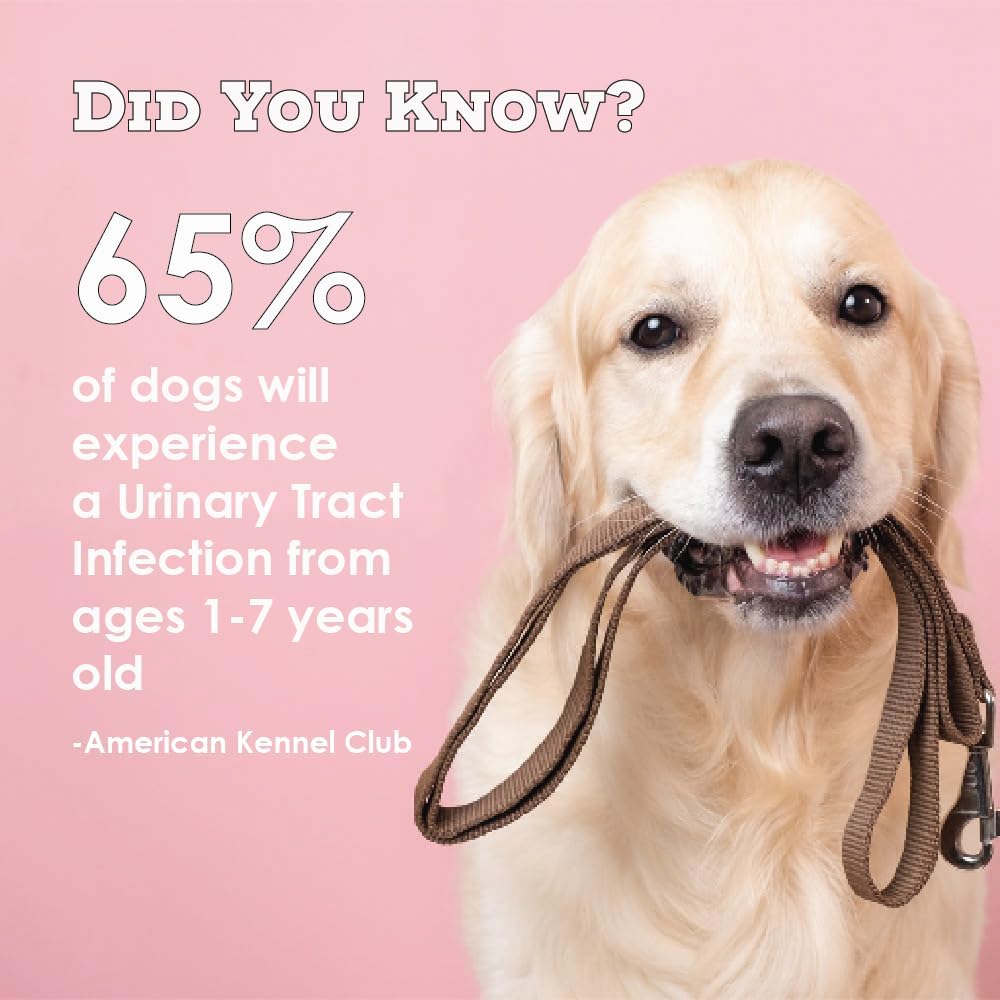 Cranberry D-Mannose Pet Urinary Tract Support Tablets for Dogs and Cats - 60 Count