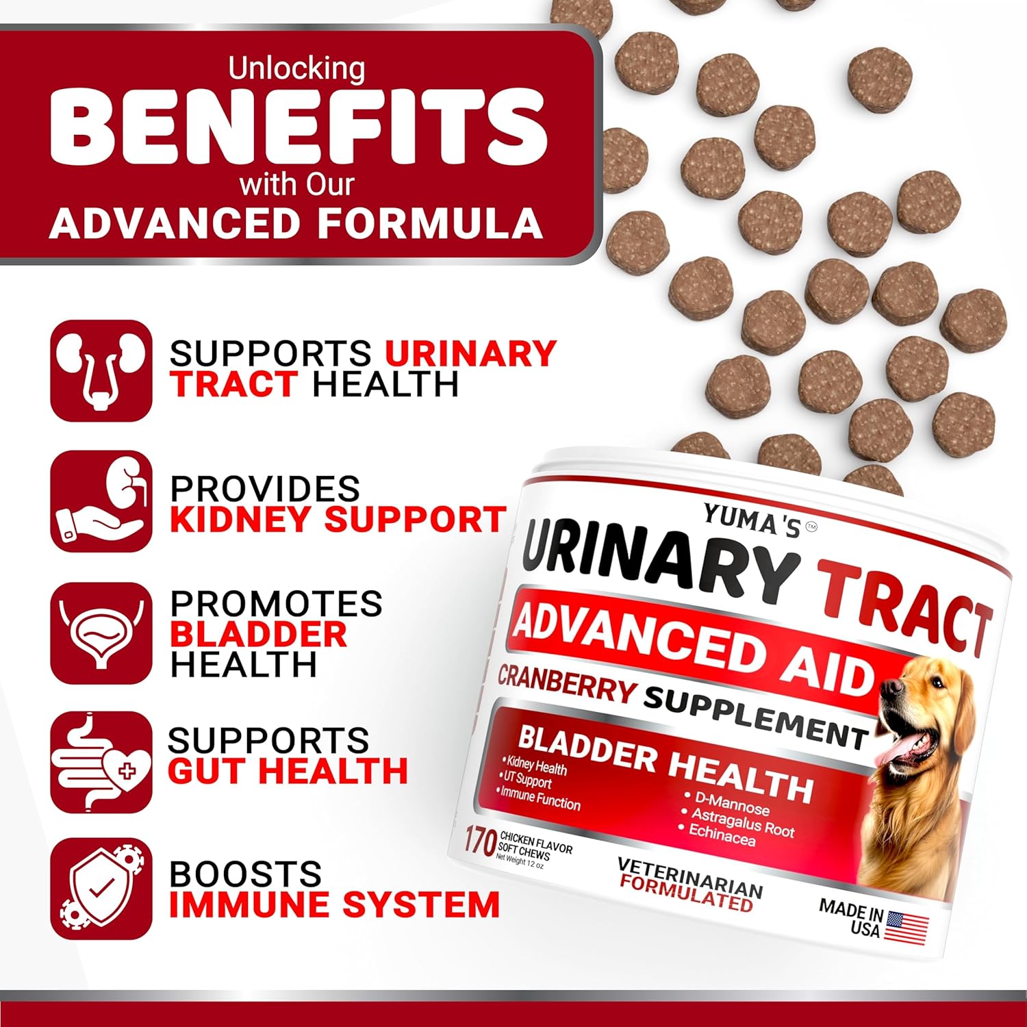 Cranberry Dog Treats for UTI - 170 Treats - Bladder Control & UTI Treatment - USA Made Vitamins & Supplements