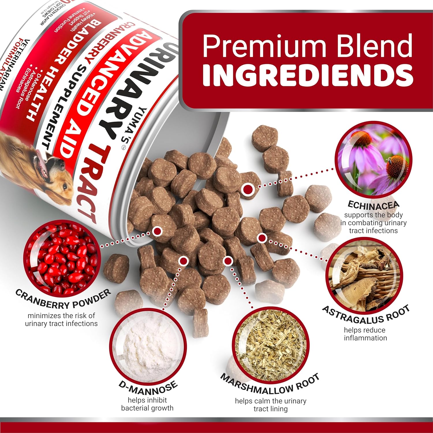 Cranberry Dog Treats for UTI - 170 Treats - Bladder Control & UTI Treatment - USA Made Vitamins & Supplements