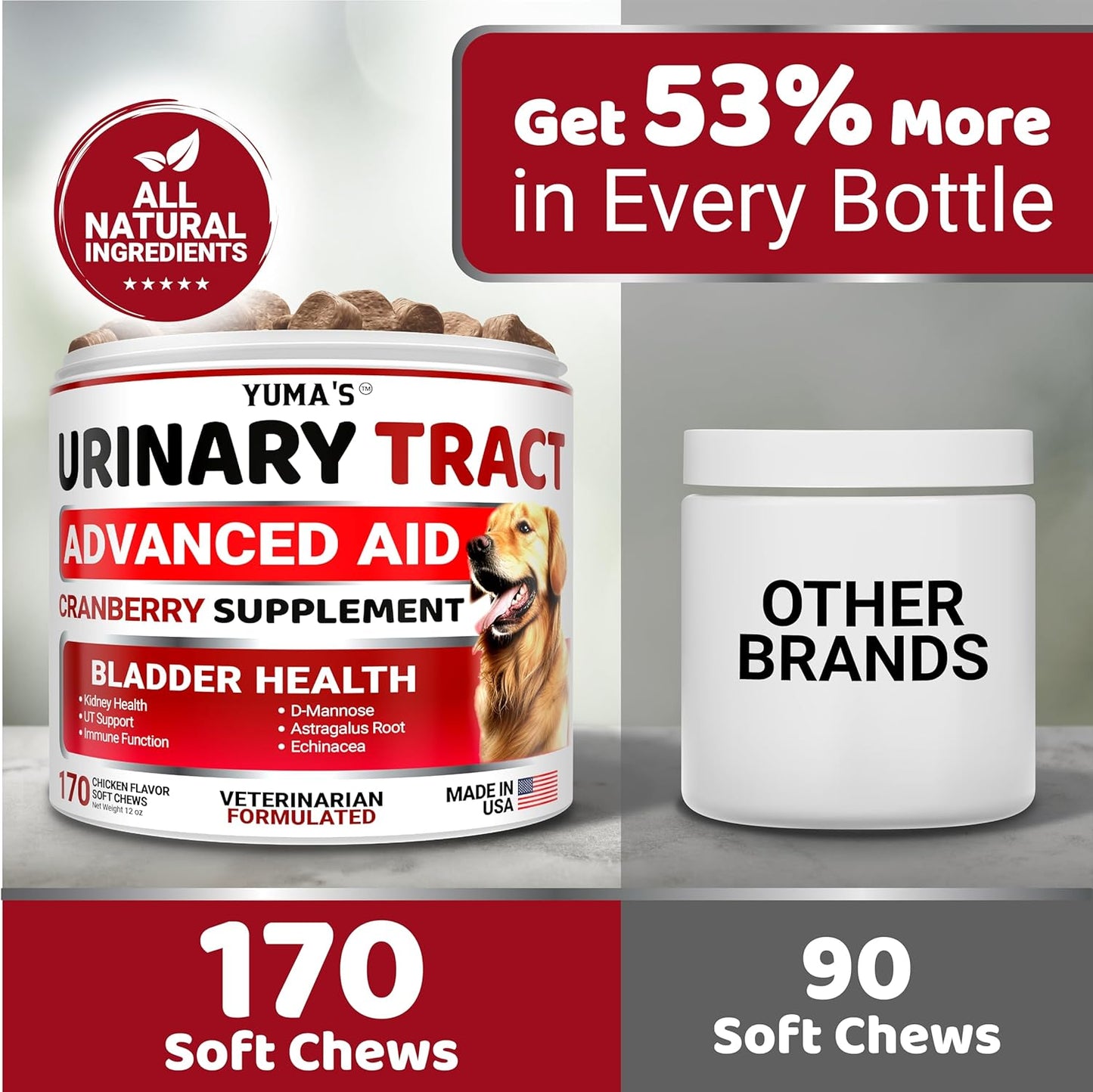 Cranberry Dog Treats for UTI - 170 Treats - Bladder Control & UTI Treatment - USA Made Vitamins & Supplements
