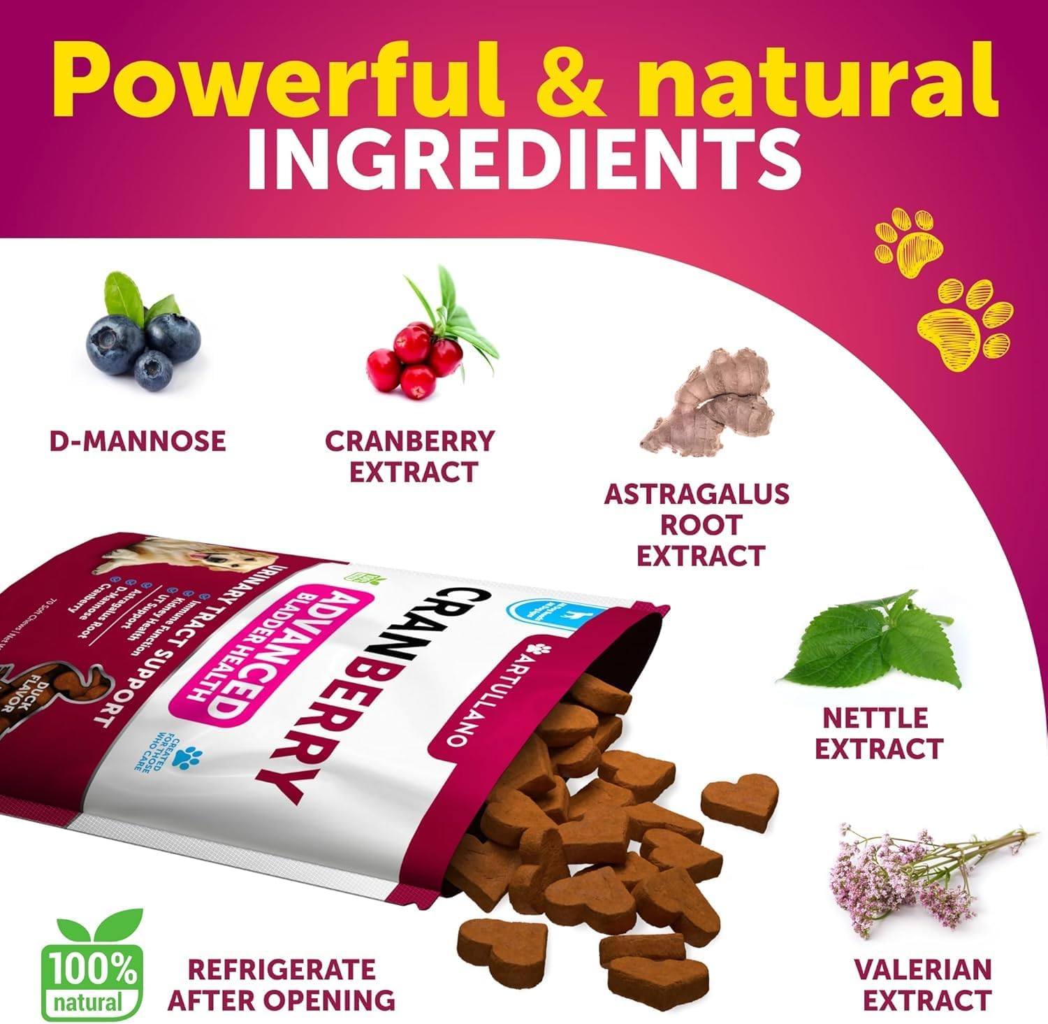 Cranberry Dog UTI Supplement - Bladder Control & Incontinence Pill - Treats Urinary Tract Infections, Bladder Stones - 70 Soft Chews for Kidney Support