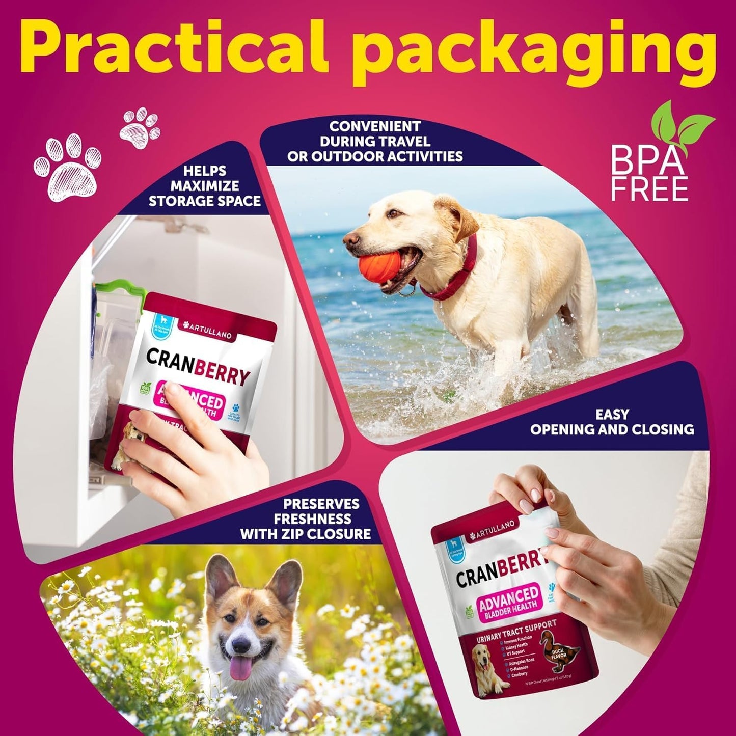 Cranberry Dog UTI Supplement - Bladder Control & Incontinence Pill - Treats Urinary Tract Infections, Bladder Stones - 70 Soft Chews for Kidney Support